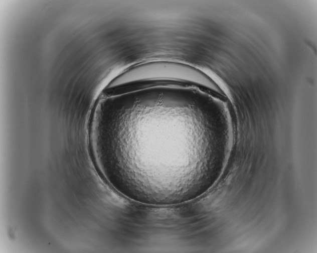 X0000091181341200708161510