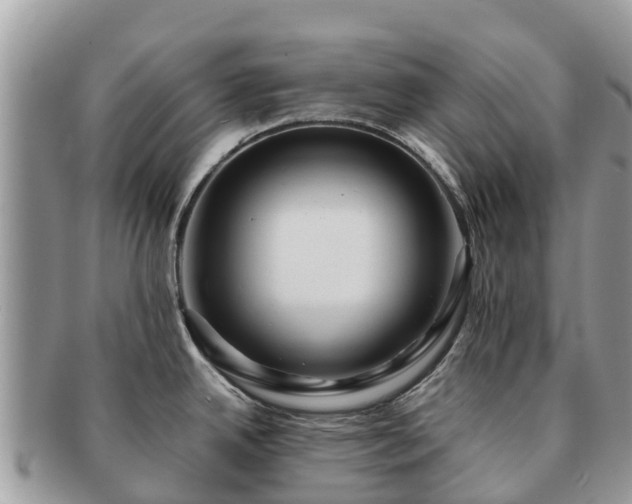 X0000091181342200708161510