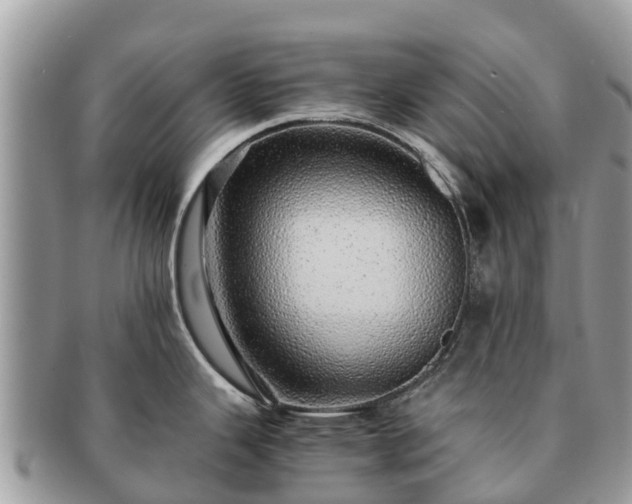 X0000091181343200708161510