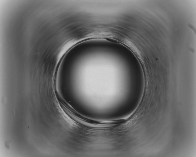 X0000091181344200708161510