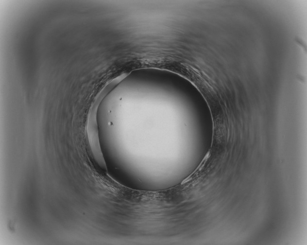 X0000091181345200708161510