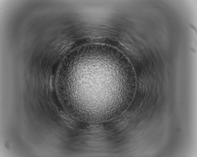 X0000091181346200708161510