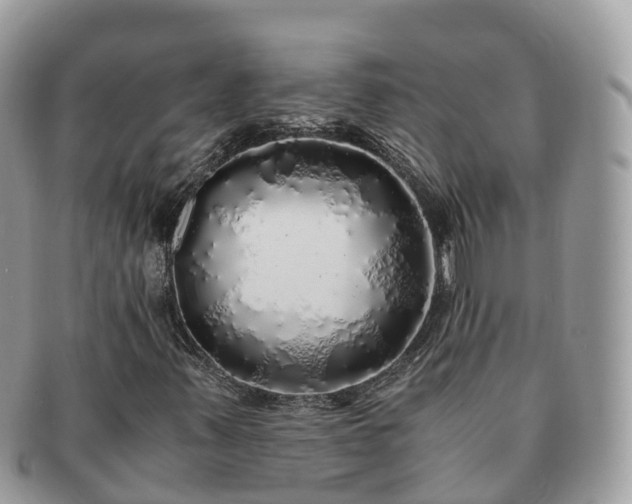 X0000091181347200708161510