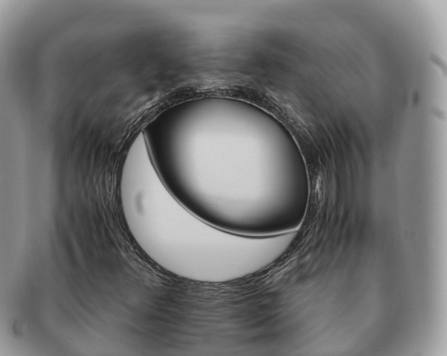 X0000091181348200708161510