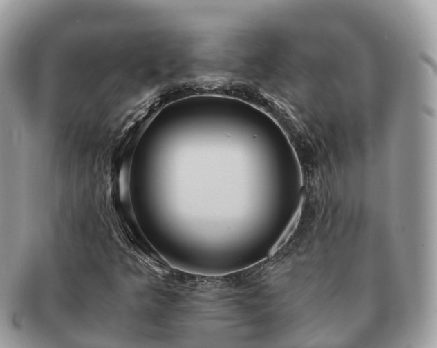 X0000091181349200708161510