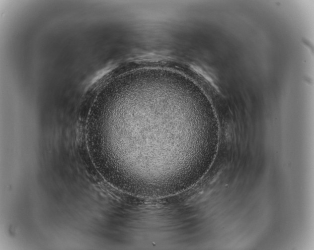 X0000091181350200708161510