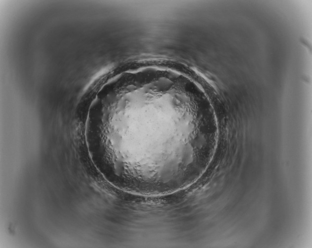 X0000091181351200708161510