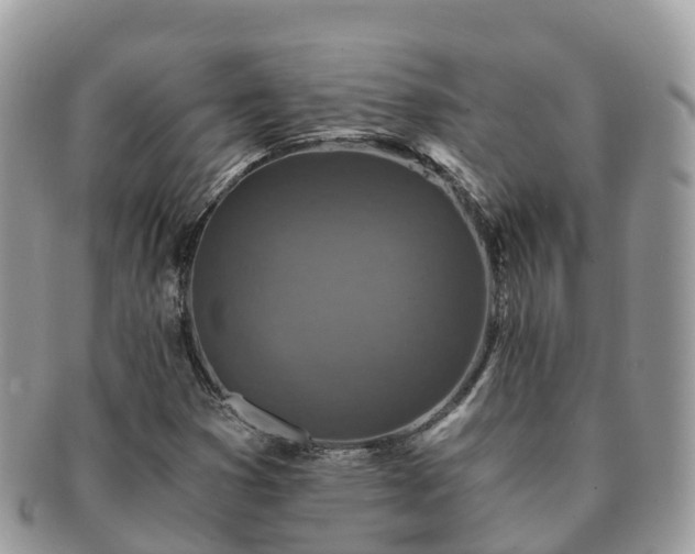 X0000091181353200708161510