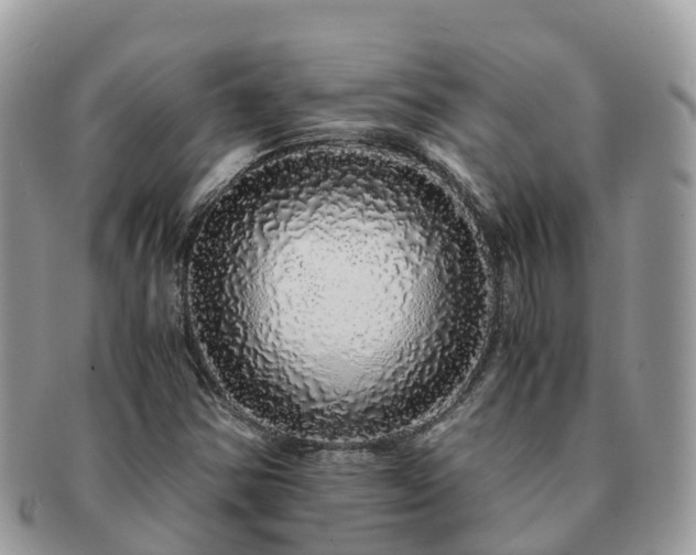 X0000091181354200708161510