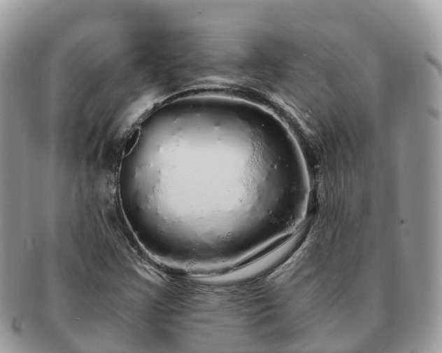 X0000091181355200708161510