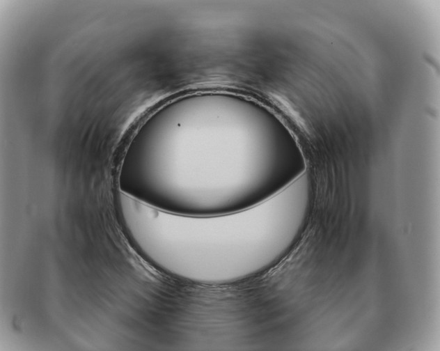 X0000091181356200708161510