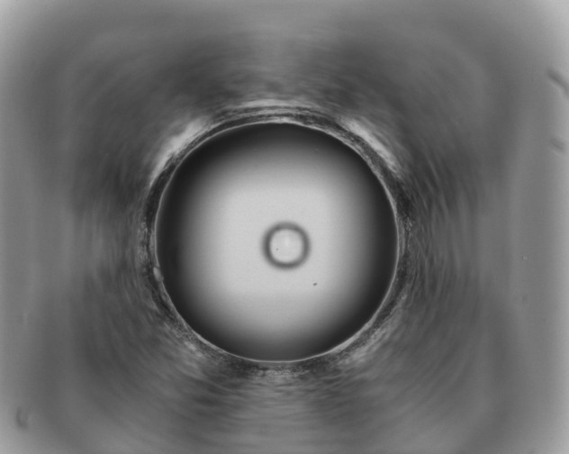 X0000091181357200708161510