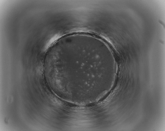 X0000091181359200708161510