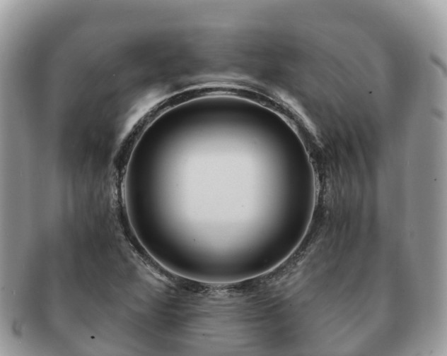 X0000091181360200708161510