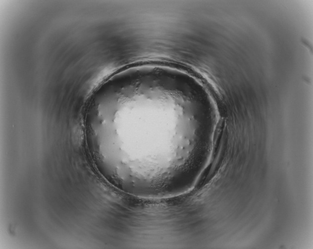X0000091181363200708161510