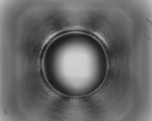 X0000091181364200708161510