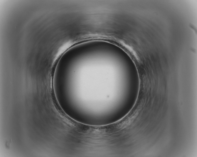 X0000091181365200708161510