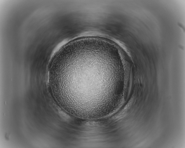 X0000091181366200708161510