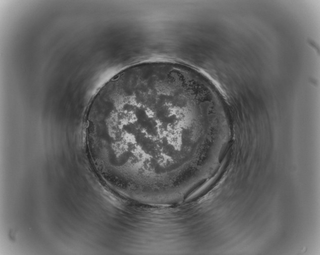 X0000091181367200708161509