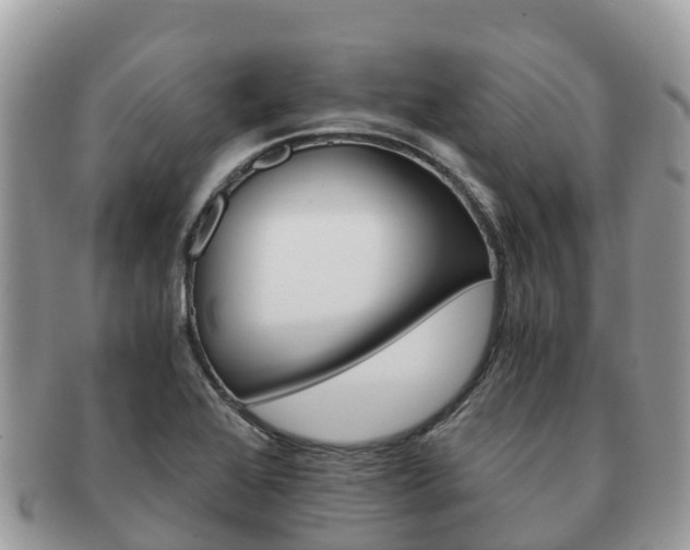 X0000091181368200708161509