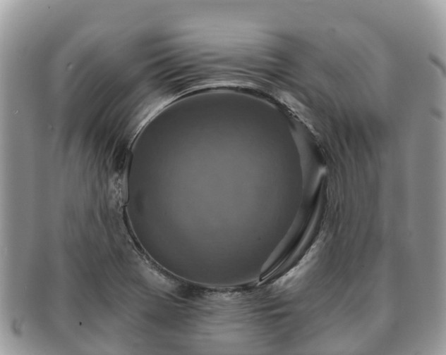 X0000091181369200708161509