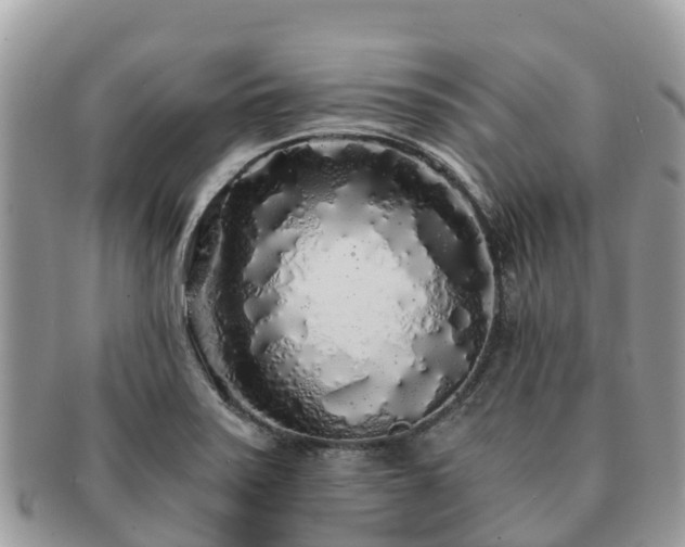X0000091181371200708161509