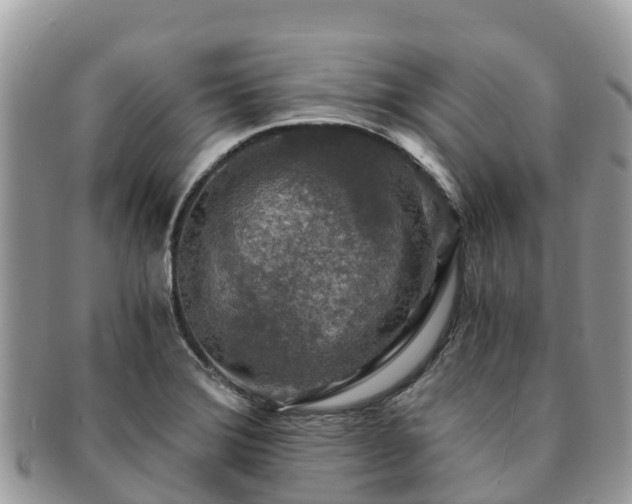 X0000091181372200708161509