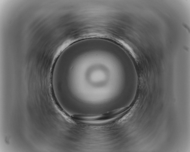 X0000091181373200708161509