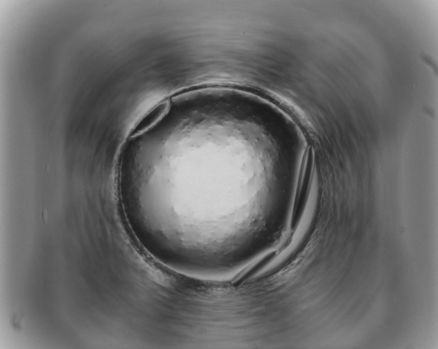 X0000091181375200708161509