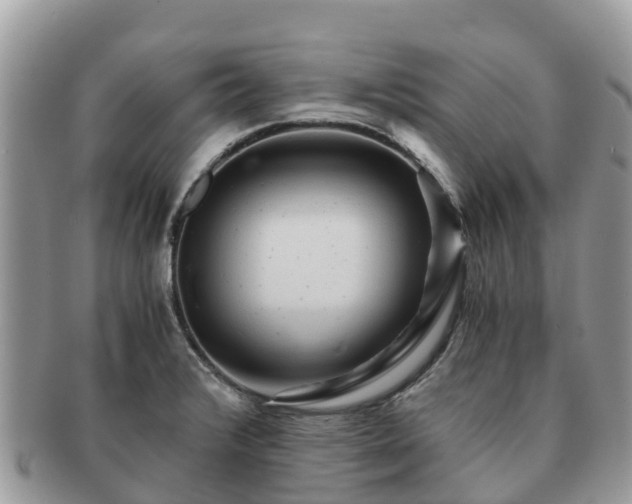 X0000091181376200708161509