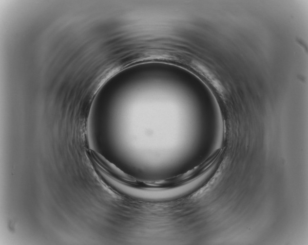 X0000091181377200708161509