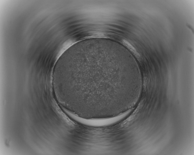 X0000091181378200708161509