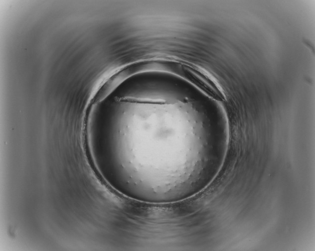 X0000091181379200708161509