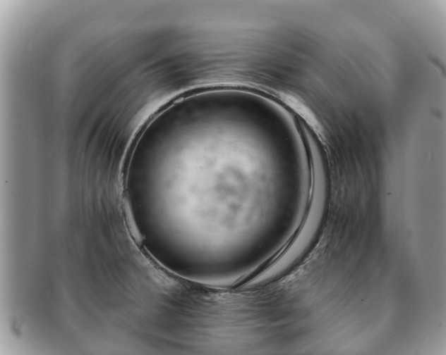 X0000091181380200708161509