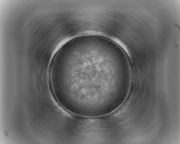 X0000091181381200708161509