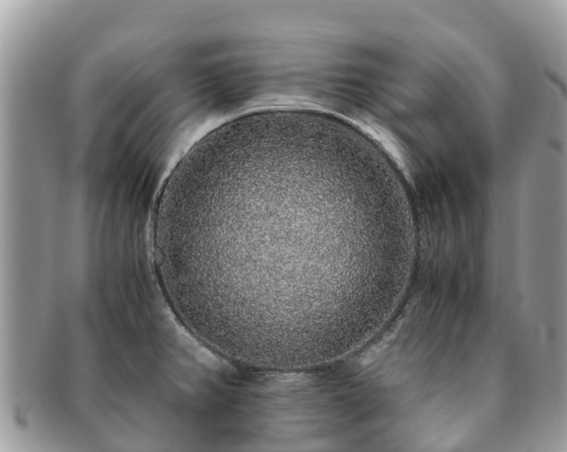 X0000091181382200708161509