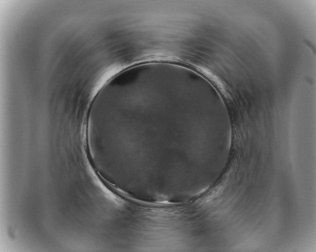 X0000091181383200708161509
