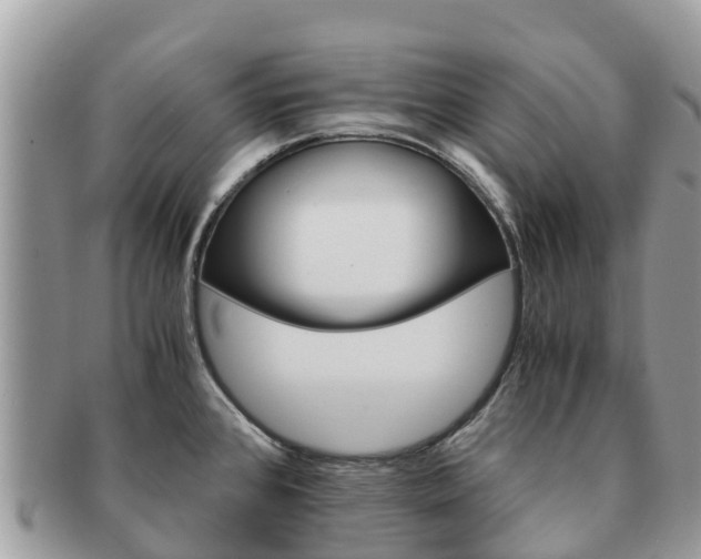 X0000091181384200708161509