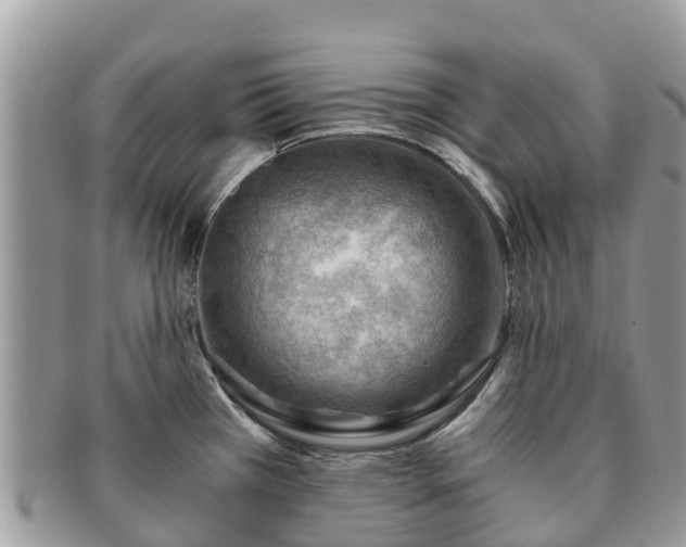 X0000091181385200708161509