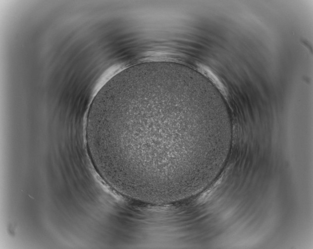 X0000091181386200708161509