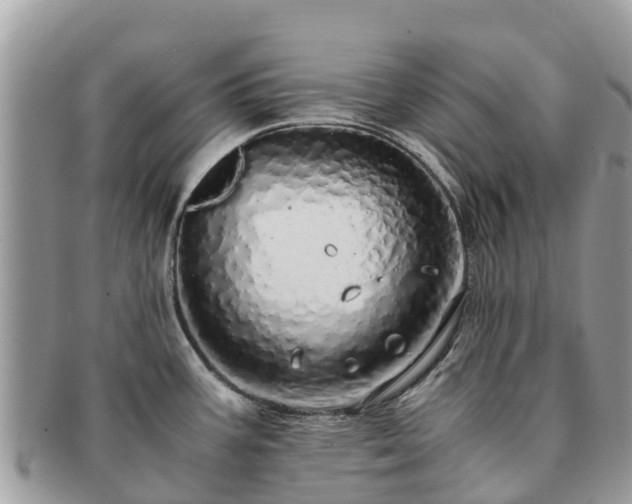 X0000091181387200708161509