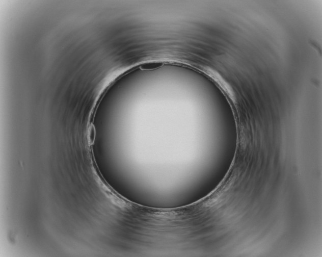 X0000091181388200708161509