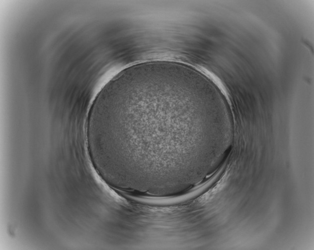 X0000091181389200708161509