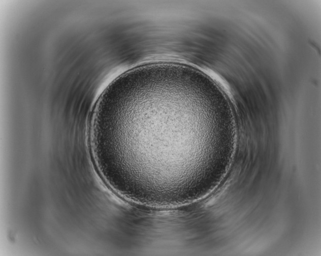 X0000091181390200708161509