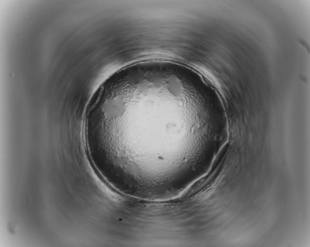 X0000091181391200708161509