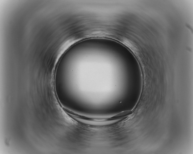 X0000091181392200708161509