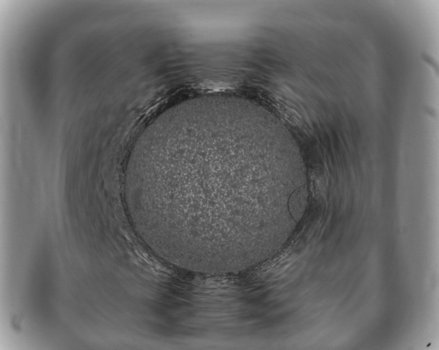 X0000091181393200708161509