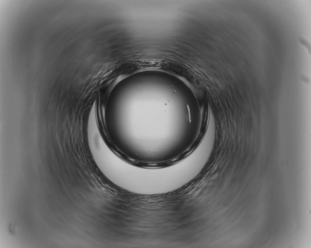 X0000091181394200708161509