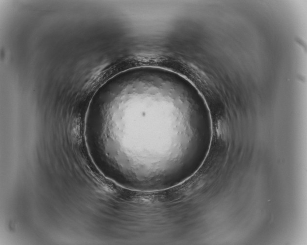 X0000091181396200708161509