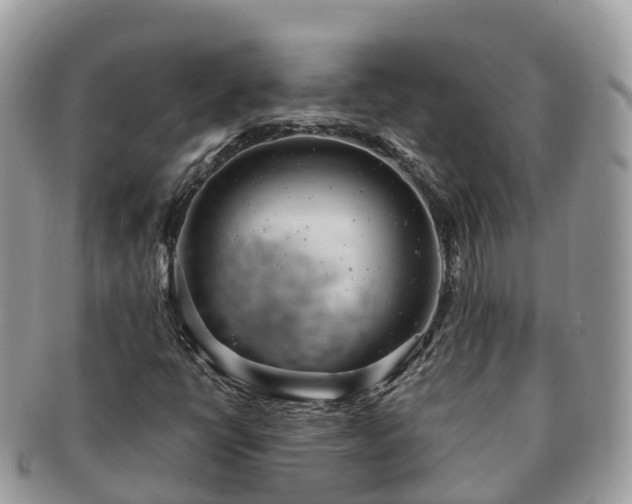 X0000091181398200708161509